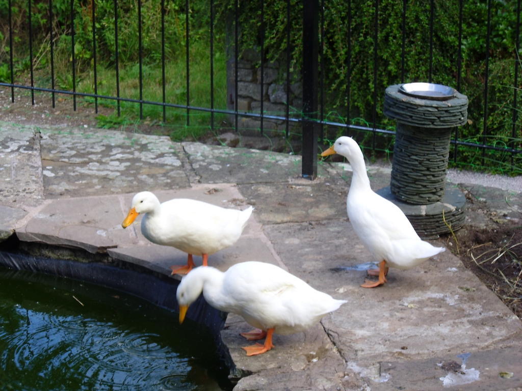 Tithe Barn Bed And Breakfast Carnforth Esterno foto