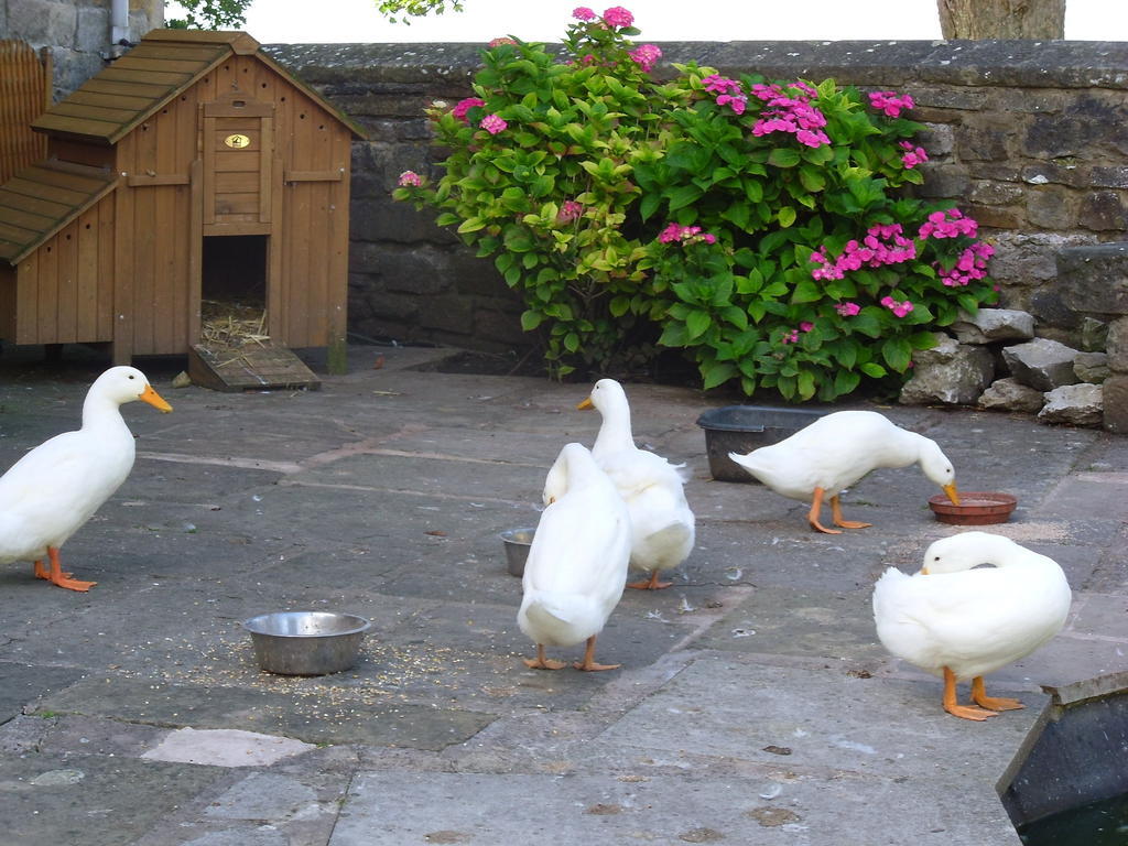 Tithe Barn Bed And Breakfast Carnforth Esterno foto